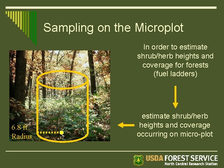 Sampling on the Microplot In order to estimate shrub/herb heights and coverage forests (fuel