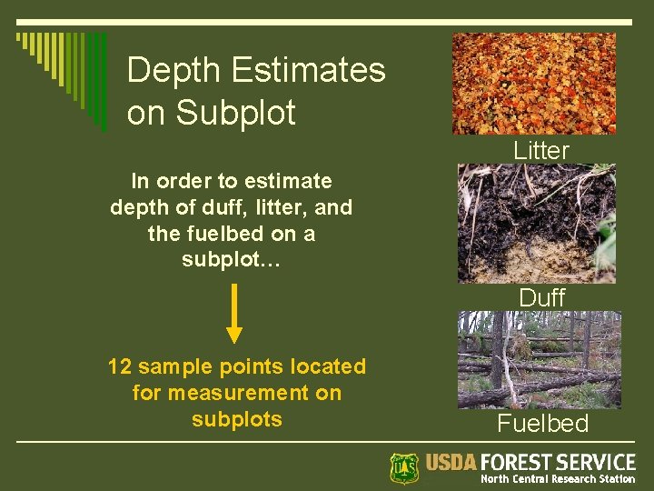 Depth Estimates on Subplot Litter In order to estimate depth of duff, litter, and