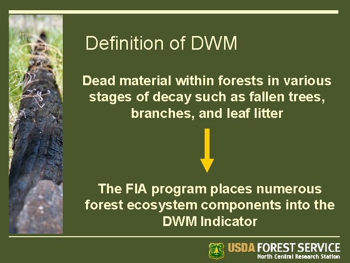 Definition of DWM Dead material within forests in various stages of decay such as