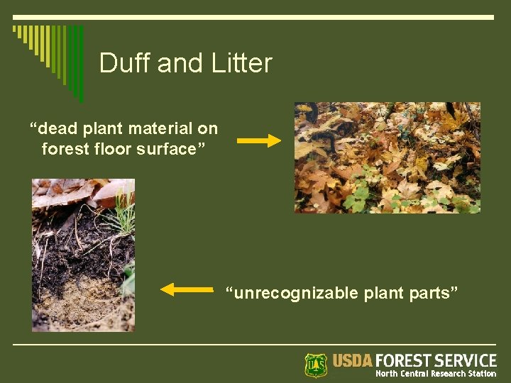 Duff and Litter “dead plant material on forest floor surface” “unrecognizable plant parts” 