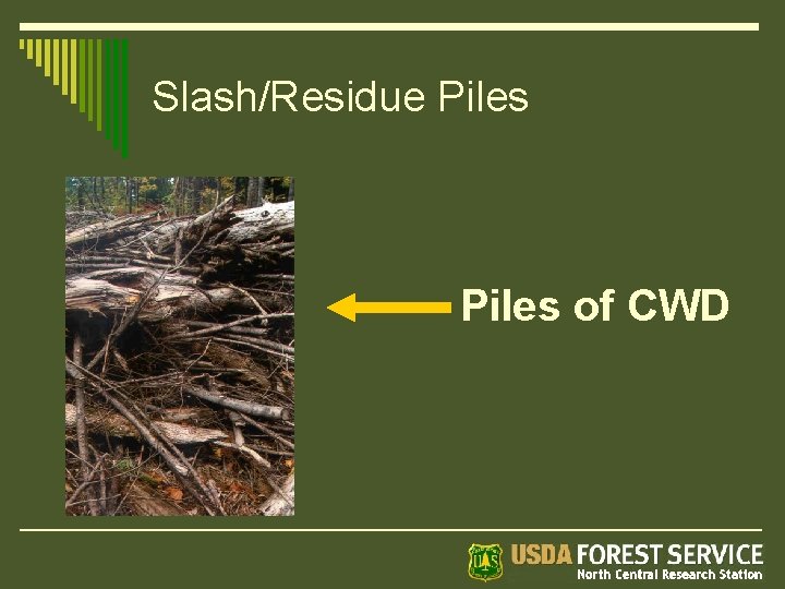 Slash/Residue Piles of CWD 