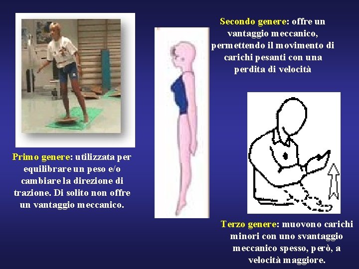 Secondo genere: offre un vantaggio meccanico, permettendo il movimento di carichi pesanti con una