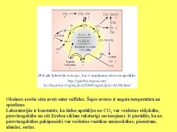 Okeānos esošie sēra avoti satur sulfīdus. Šajos avotos ir augsta temperatūra un spiediens. Laboratorijās