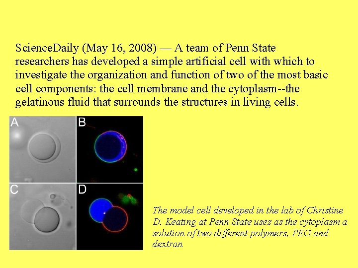 Science. Daily (May 16, 2008) — A team of Penn State researchers has developed
