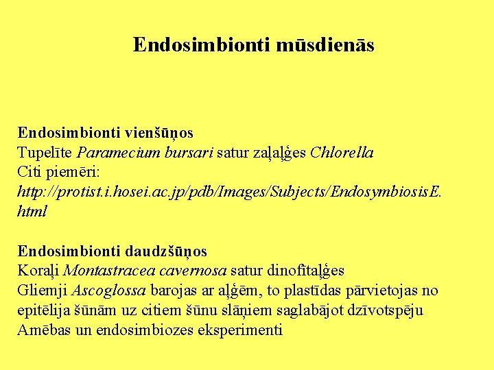 Endosimbionti mūsdienās Endosimbionti vienšūņos Tupelīte Paramecium bursari satur zaļaļģes Chlorella Citi piemēri: http: //protist.