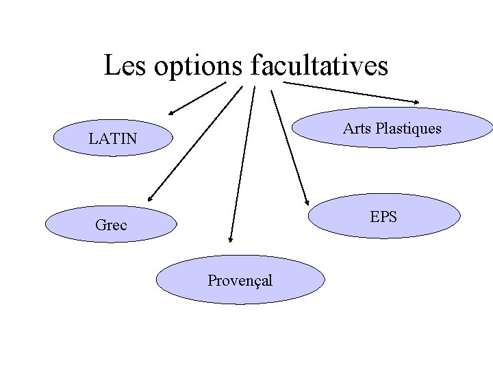 Les options facultatives Arts Plastiques LATIN EPS Grec Provençal 