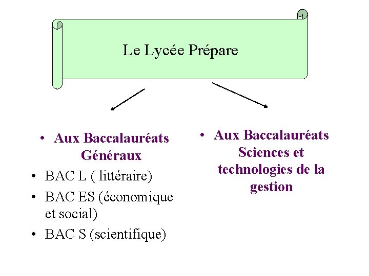 Le Lycée Prépare • Aux Baccalauréats Généraux • BAC L ( littéraire) • BAC