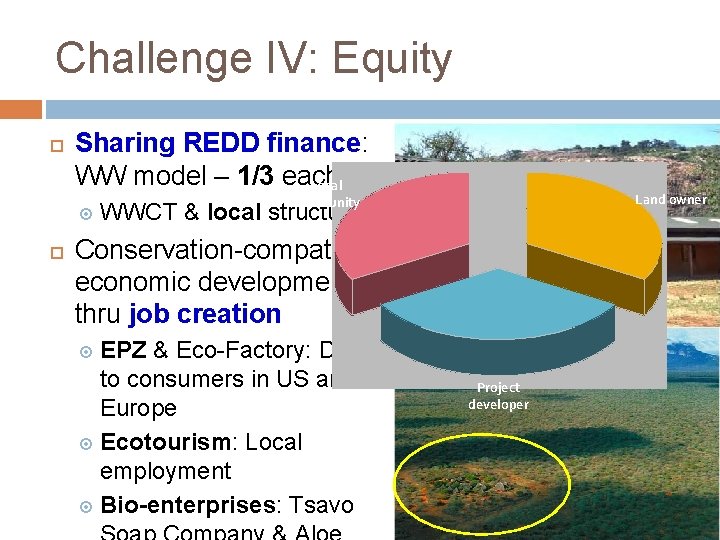 INVESTING IN FORESTED ECOSYSTEMS REDD THE PRIVATE SECTOR