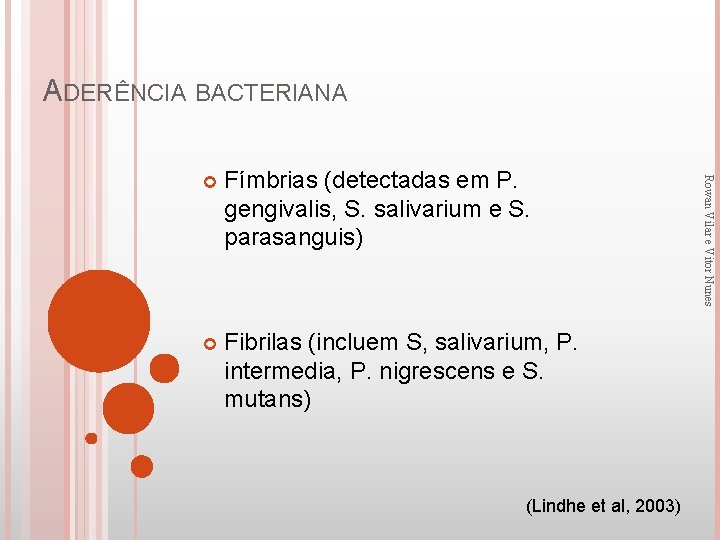 ADERÊNCIA BACTERIANA Fímbrias (detectadas em P. gengivalis, S. salivarium e S. parasanguis) Fibrilas (incluem