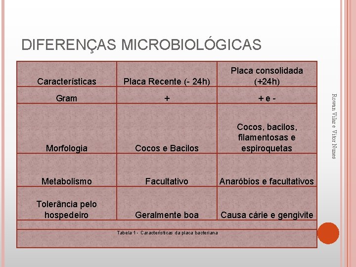 DIFERENÇAS MICROBIOLÓGICAS Placa Recente (- 24 h) Gram + + e - Morfologia Cocos