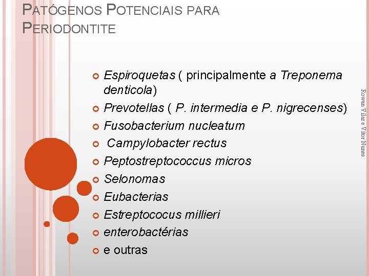 PATÓGENOS POTENCIAIS PARA PERIODONTITE Espiroquetas ( principalmente a Treponema denticola) Prevotellas ( P. intermedia
