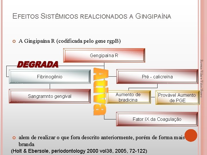 EFEITOS SISTÊMICOS REALCIONADOS A GINGIPAÍNA A Gingipaína R (codificada pelo gene rgp. B) Gengipaína