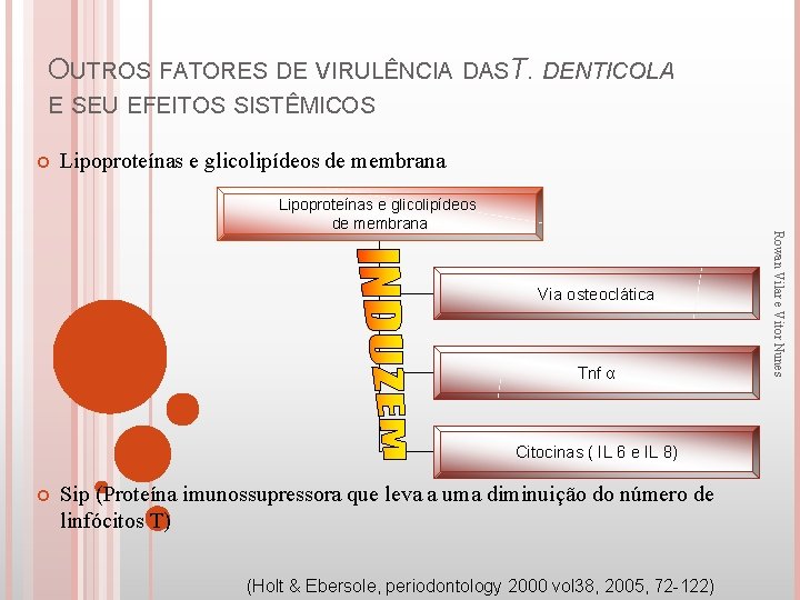 OUTROS FATORES DE VIRULÊNCIA DAST . DENTICOLA E SEU EFEITOS SISTÊMICOS Lipoproteínas e glicolipídeos