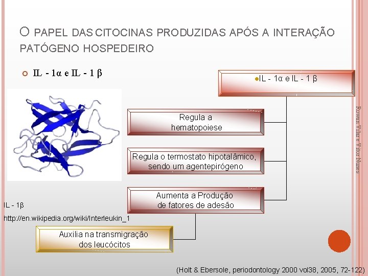 O PAPEL DAS CITOCINAS PRODUZIDAS APÓS A INTERAÇÃO PATÓGENO HOSPEDEIRO IL - 1α e