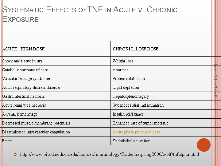 SYSTEMATIC EFFECTS OF TNF IN ACUTE V. CHRONIC EXPOSURE CHRONIC, LOW DOSE Shock and