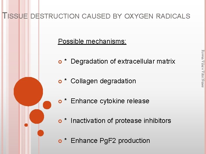 TISSUE DESTRUCTION CAUSED BY OXYGEN RADICALS Possible mechanisms: * Degradation of extracellular matrix *
