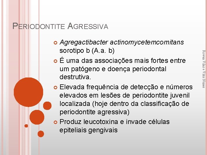 PERIODONTITE AGRESSIVA Agregactibacter actinomycetemcomitans sorotipo b (A. a. b) É uma das associações mais