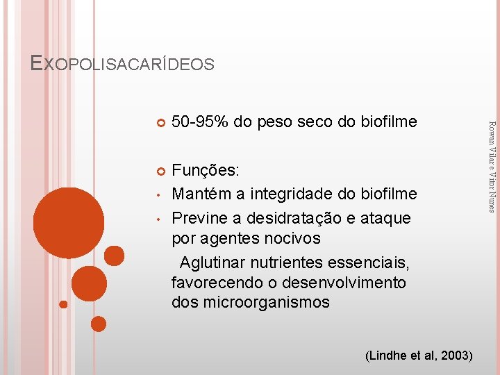 EXOPOLISACARÍDEOS 50 -95% do peso seco do biofilme Funções: • Mantém a integridade do