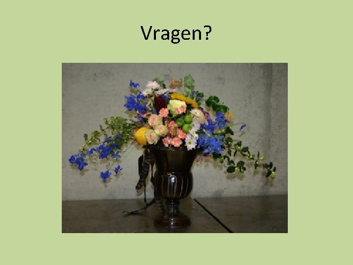 Vragen? Vragen?
