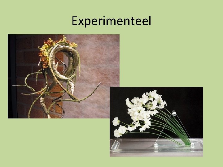 Experimenteel Experimenteel