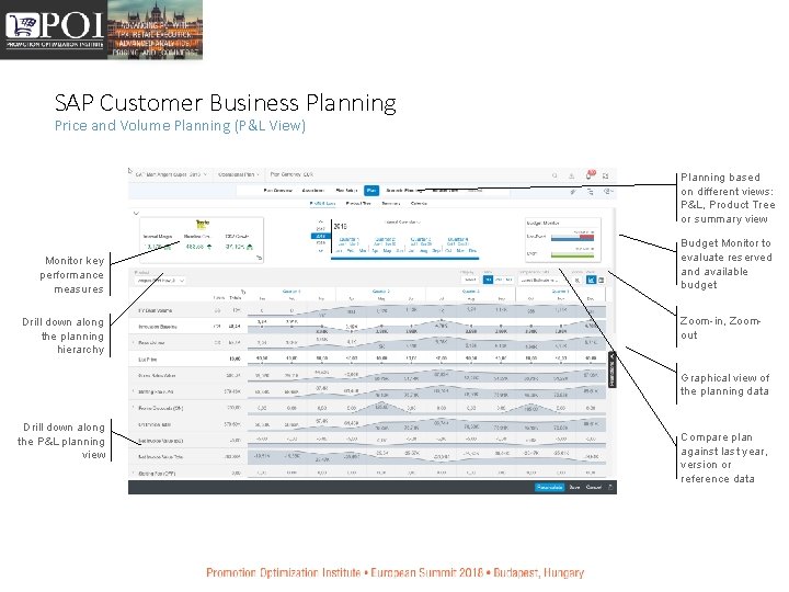 SAP Customer Business Planning Price and Volume Planning (P&L View) Planning based on different