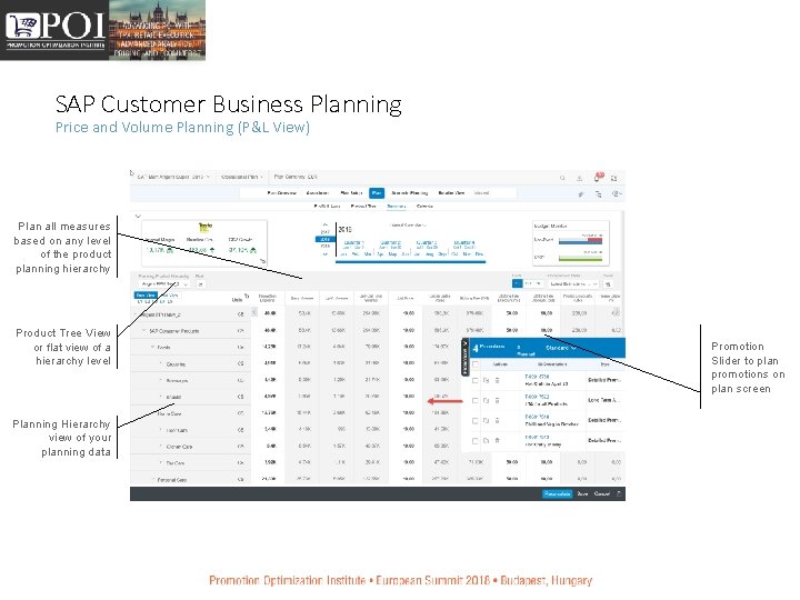 SAP Customer Business Planning Price and Volume Planning (P&L View) Plan all measures based