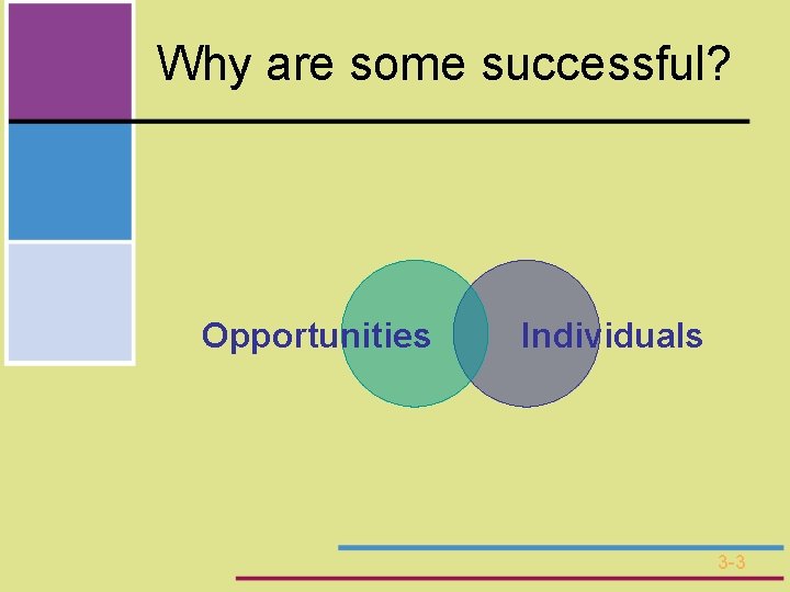 Why are some successful? Opportunities Individuals 3 -3 