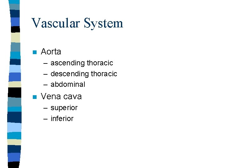 Vascular System n Aorta – ascending thoracic – descending thoracic – abdominal n Vena