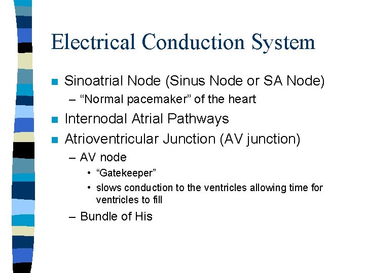 Electrical Conduction System n Sinoatrial Node (Sinus Node or SA Node) – “Normal pacemaker”