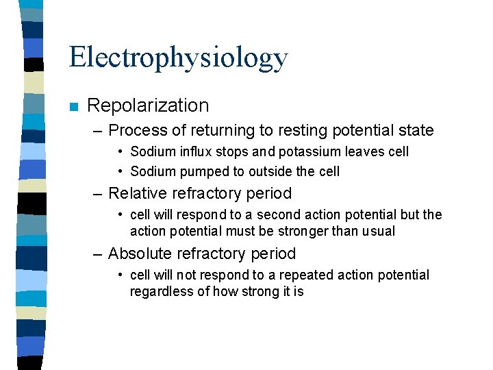 Electrophysiology n Repolarization – Process of returning to resting potential state • Sodium influx