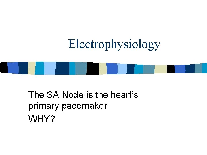 Electrophysiology The SA Node is the heart’s primary pacemaker WHY? 