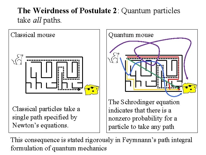 The Weirdness of Postulate 2: Quantum particles take all paths. Classical mouse Quantum mouse