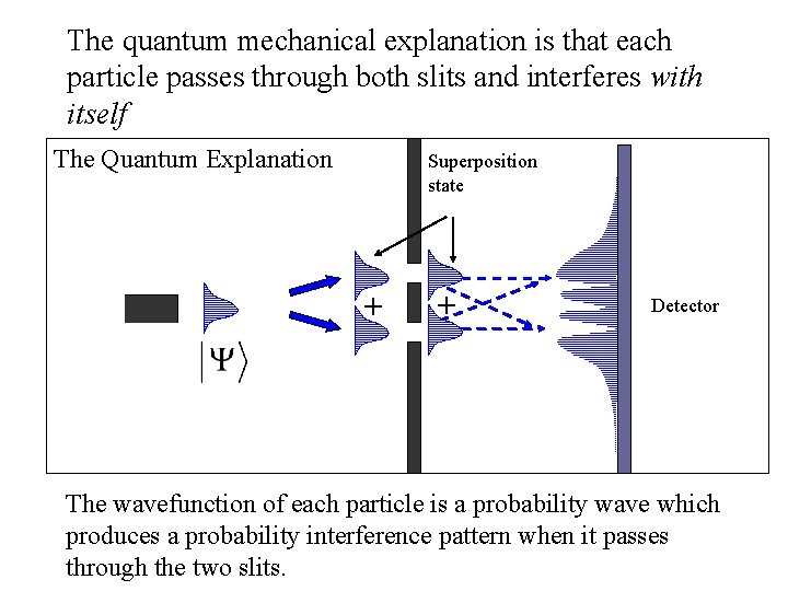 The quantum mechanical explanation is that each particle passes through both slits and interferes