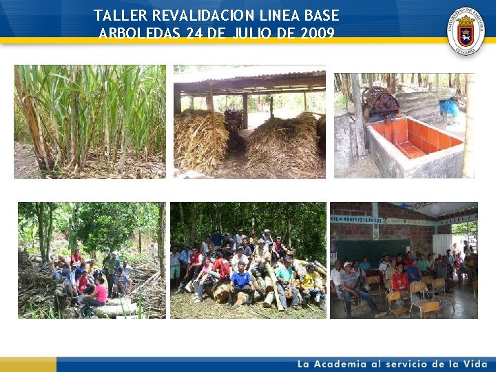 TALLER REVALIDACION LINEA BASE ARBOLEDAS 24 DE JULIO DE 2009 