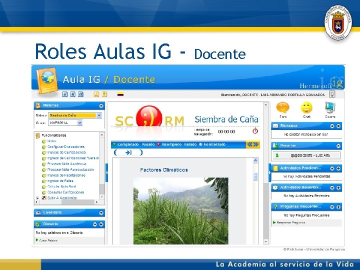 Roles Aulas IG - Docente 