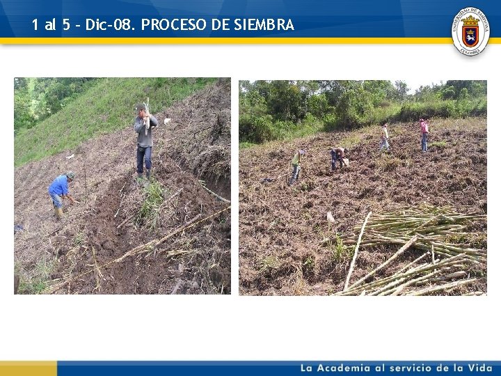 1 al 5 – Dic-08. PROCESO DE SIEMBRA 