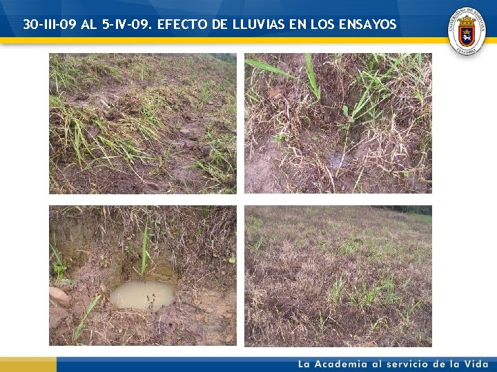 30 -III-09 AL 5 -IV-09. EFECTO DE LLUVIAS EN LOS ENSAYOS 