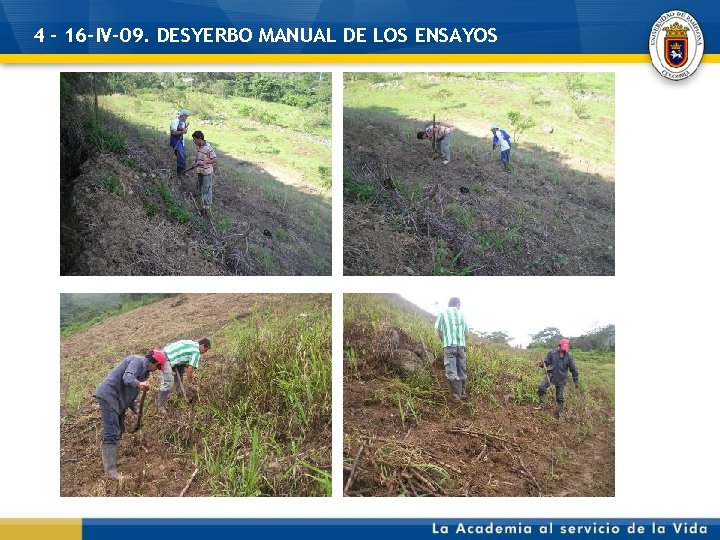 4 - 16 -IV-09. DESYERBO MANUAL DE LOS ENSAYOS 