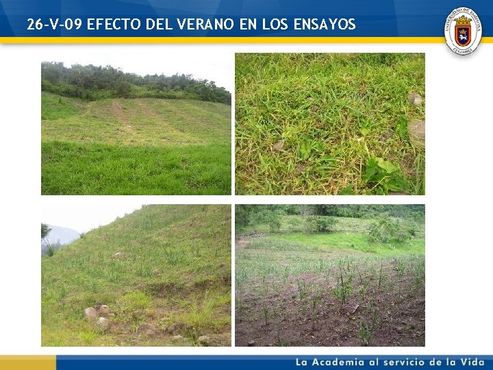 26 -V-09 EFECTO DEL VERANO EN LOS ENSAYOS 