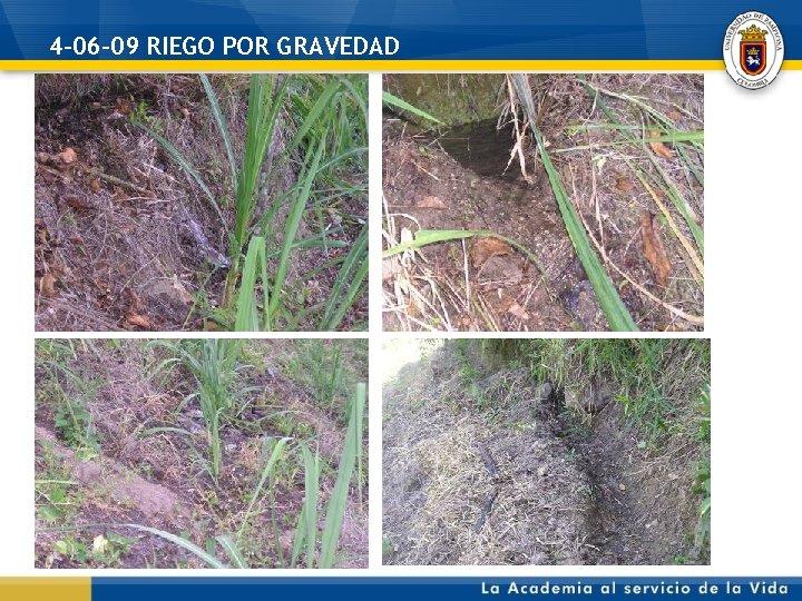 4 -06 -09 RIEGO POR GRAVEDAD 