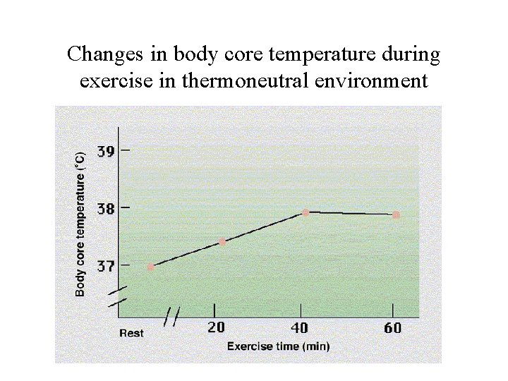 Changes in body core temperature during exercise in thermoneutral environment 