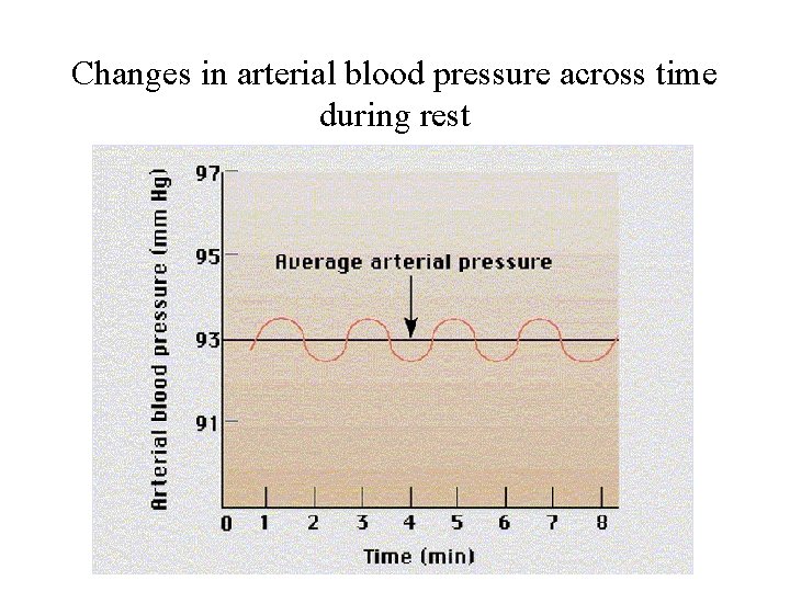 Changes in arterial blood pressure across time during rest 