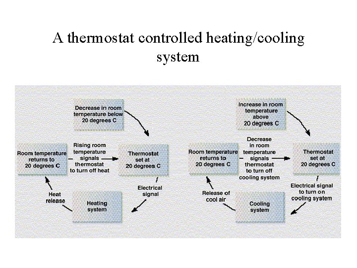 A thermostat controlled heating/cooling system 