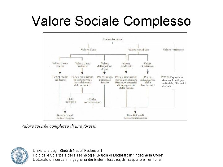 Valore Sociale Complesso Università degli Studi di Napoli Federico II Polo delle Scienze e