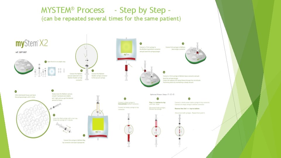 MYSTEM® Process - Step by Step – (can be repeated several times for the