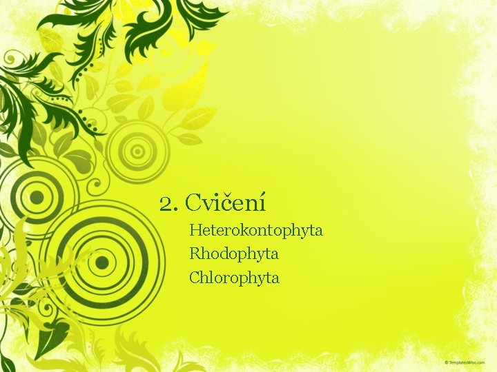 2. Cvičení Heterokontophyta Rhodophyta Chlorophyta 