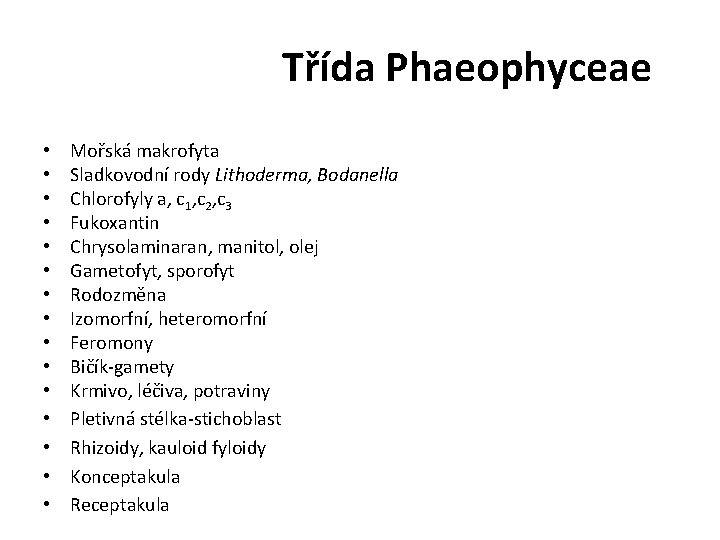 Třída Phaeophyceae • • • • Mořská makrofyta Sladkovodní rody Lithoderma, Bodanella Chlorofyly a, Třída Phaeophyceae • • • • Mořská makrofyta Sladkovodní rody Lithoderma, Bodanella Chlorofyly a,