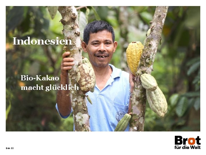 Indonesien Bio-Kakao macht glücklich Seite /22 