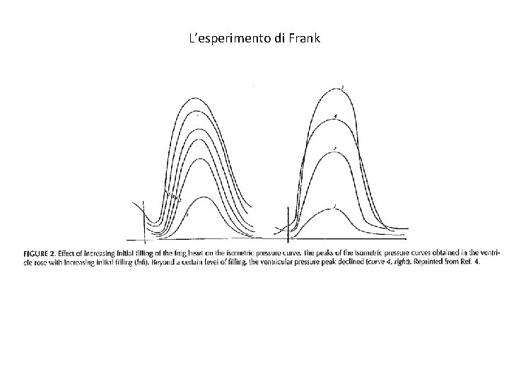 L’esperimento di Frank 