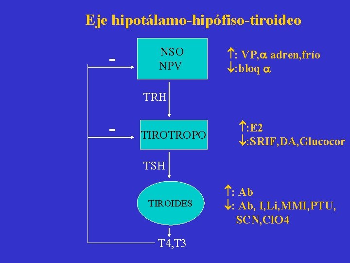 Eje hipotálamo-hipófiso-tiroideo - NSO NPV : VP, adren, frío : bloq TRH - TIROTROPO